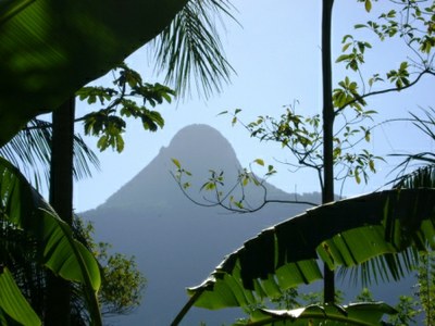 Pico do Morro do Forno - Morrinhos do Sul